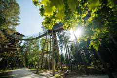 Walderlebniswelt_Baumwipfelpfad