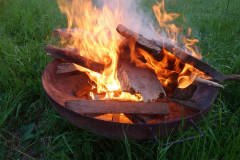 202100524_4340849372600608_2196709581131780185_n