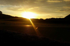 20728296_1627414023944170_6332268410063818346_n