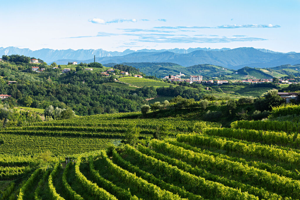 Radtouren Collio Friual Casa-Friuli.com