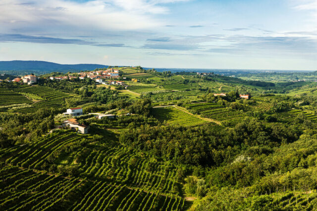 Radtouren Collio Friual Casa-Friuli.com