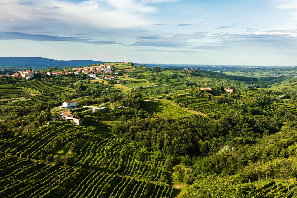 Radtouren Collio Friual Casa-Friuli.com