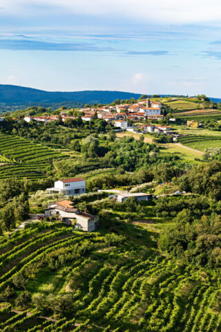 Radtouren Collio Friual Casa-Friuli.com