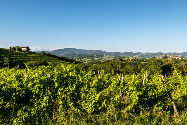Radtouren Collio Friual Casa-Friuli.com
