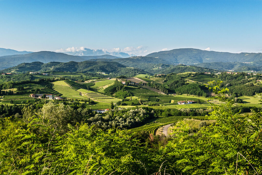 Radtouren Collio Friual Casa-Friuli.com
