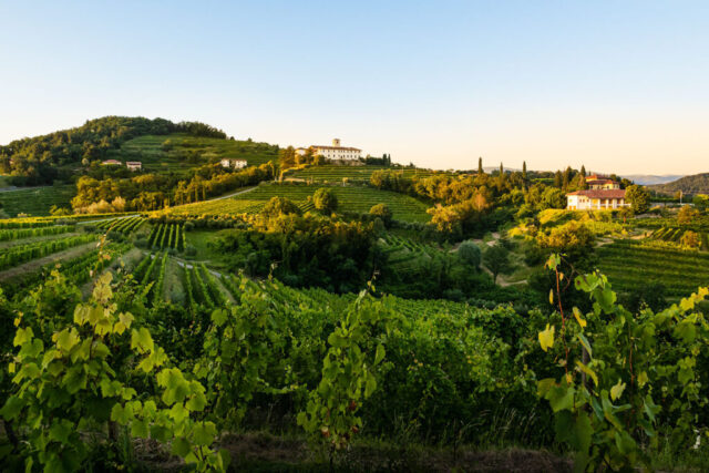 Radtouren Collio Friual Casa-Friuli.com
