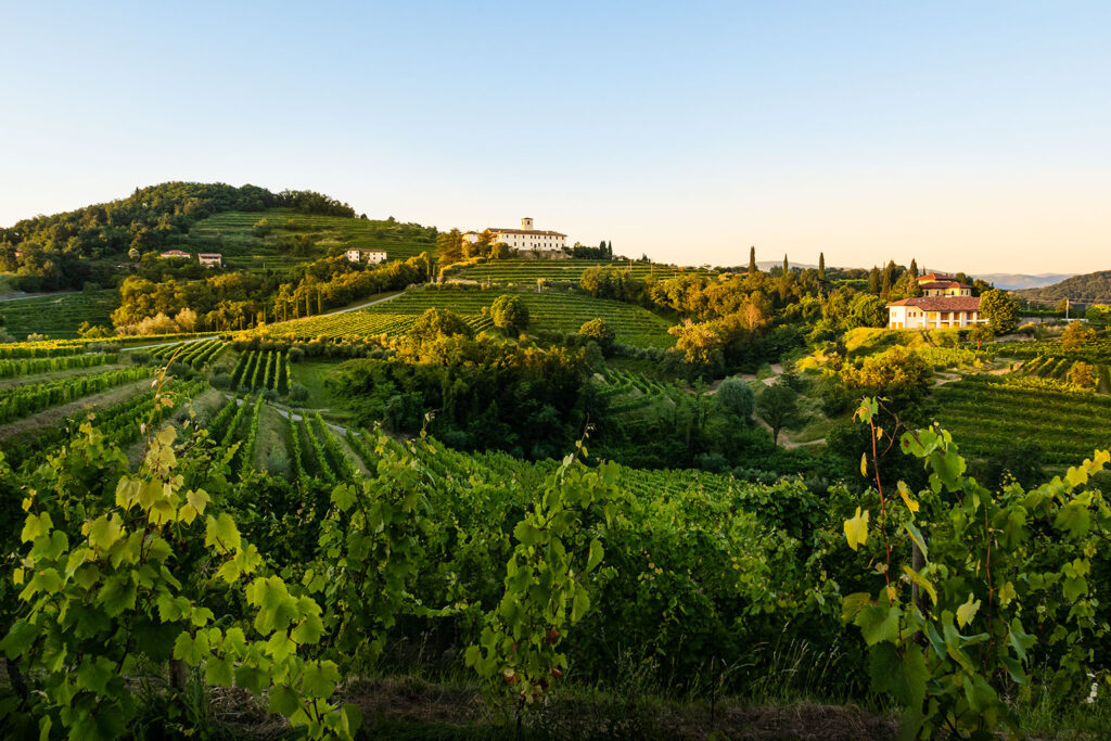 Radtouren Collio Friual Casa-Friuli.com
